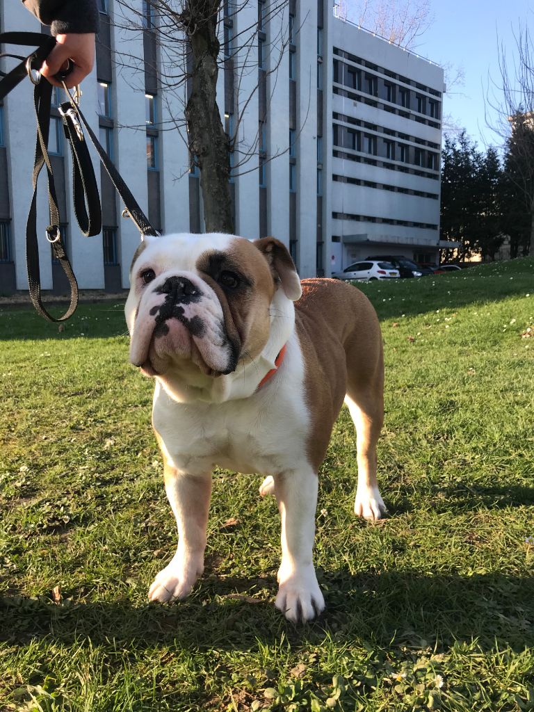 Oprah chanel De la landerie